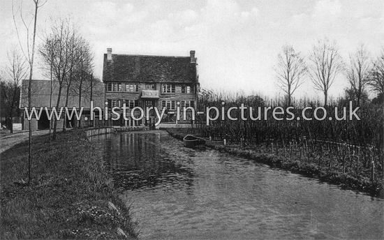 The Mill and Willow Nurseries, Roxwell, Essex. c.1920's